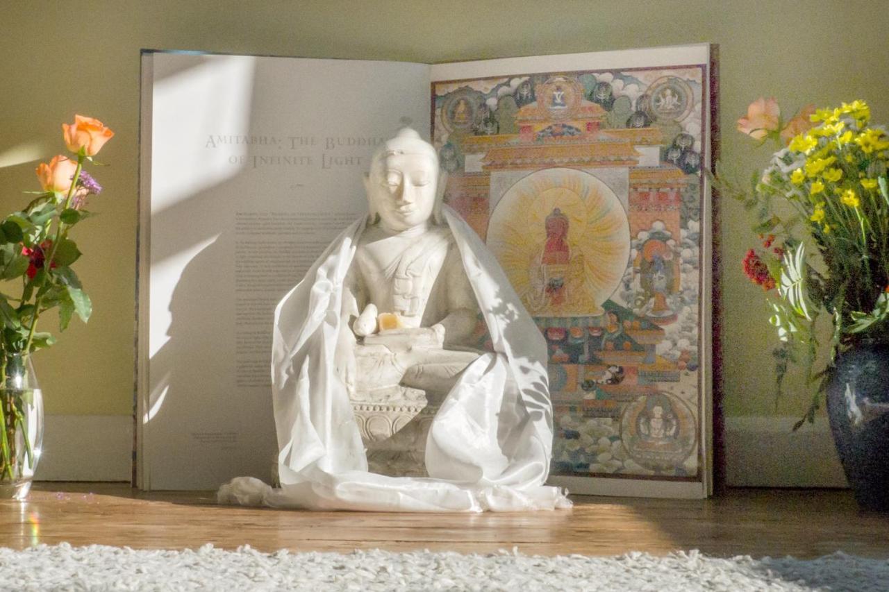Healing Waters Sanctuary For Exclusive Private Hire And Self Catering Board, Vegetarian, Alcohol & Wifi Free Retreat In Glastonbury Exteriör bild