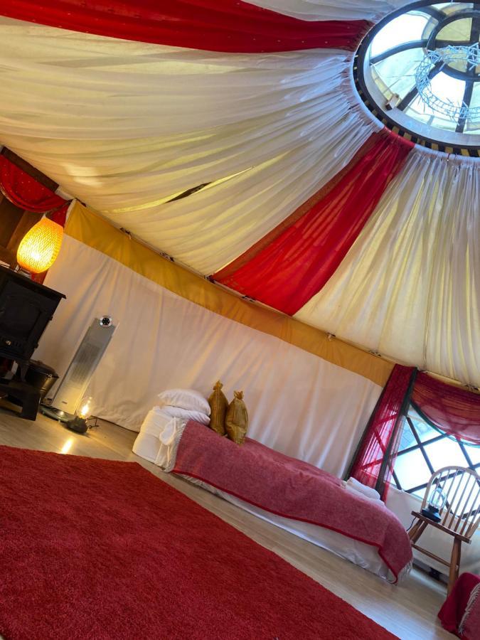 Healing Waters Sanctuary For Exclusive Private Hire And Self Catering Board, Vegetarian, Alcohol & Wifi Free Retreat In Glastonbury Exteriör bild