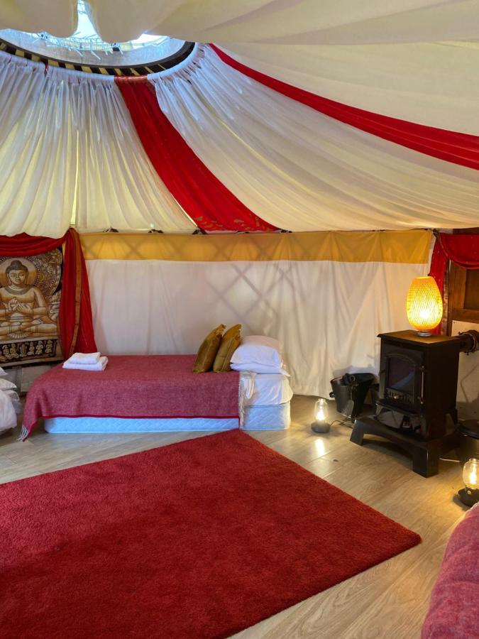 Healing Waters Sanctuary For Exclusive Private Hire And Self Catering Board, Vegetarian, Alcohol & Wifi Free Retreat In Glastonbury Exteriör bild