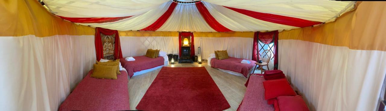 Healing Waters Sanctuary For Exclusive Private Hire And Self Catering Board, Vegetarian, Alcohol & Wifi Free Retreat In Glastonbury Exteriör bild