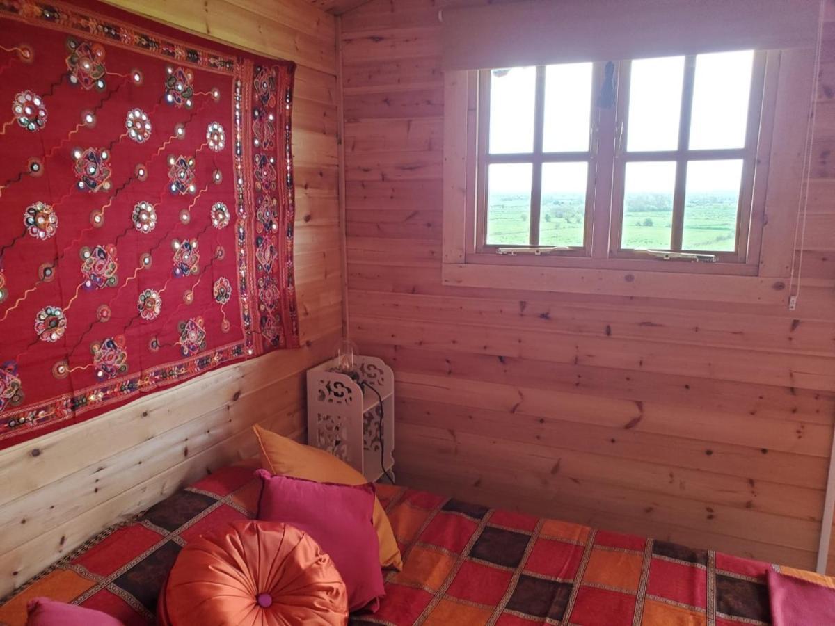 Healing Waters Sanctuary For Exclusive Private Hire And Self Catering Board, Vegetarian, Alcohol & Wifi Free Retreat In Glastonbury Exteriör bild